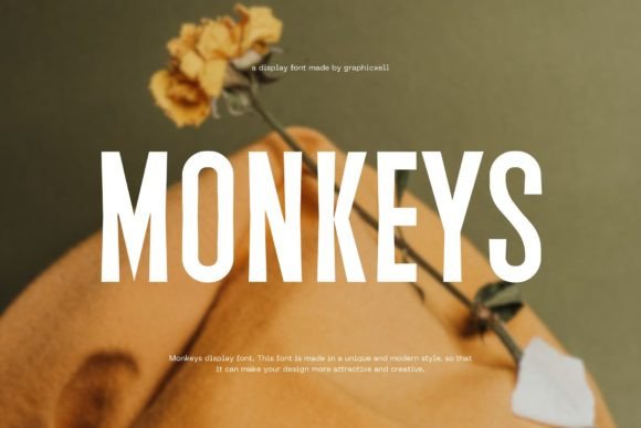 Monkeys Font: A Modern Display Typeface for Elegant Branding